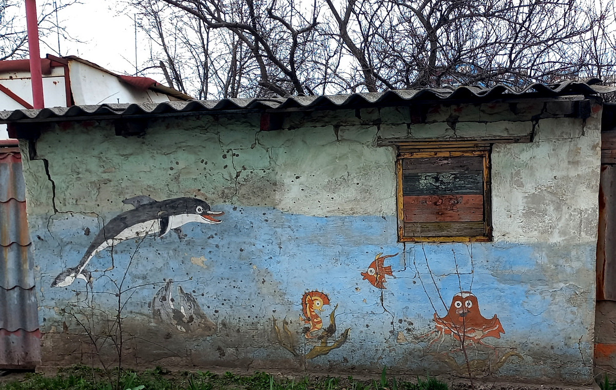 Подводный мир на частном угольном сарае. Донецк. Фото 2024 года