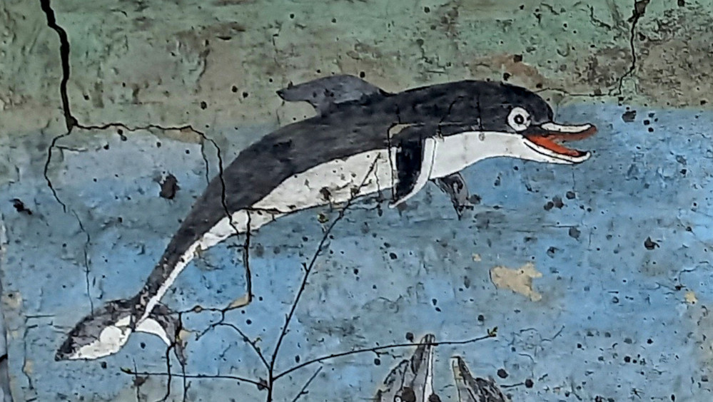 Дельфин на частном угольном сарае. Донецк. Фото 2024 года