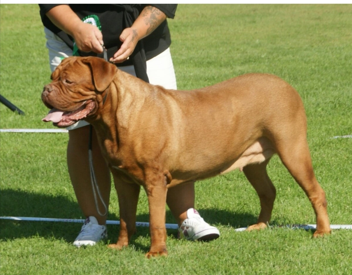 Это фото из интернета, но Варя выглядела именно так 