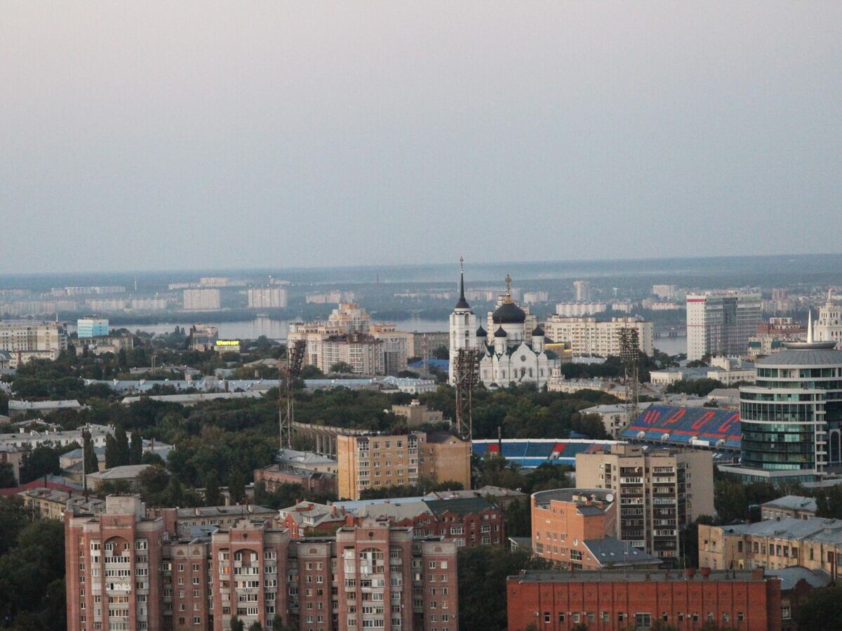    Вид на Воронеж© РИА Новости / Ульяна Соловьева