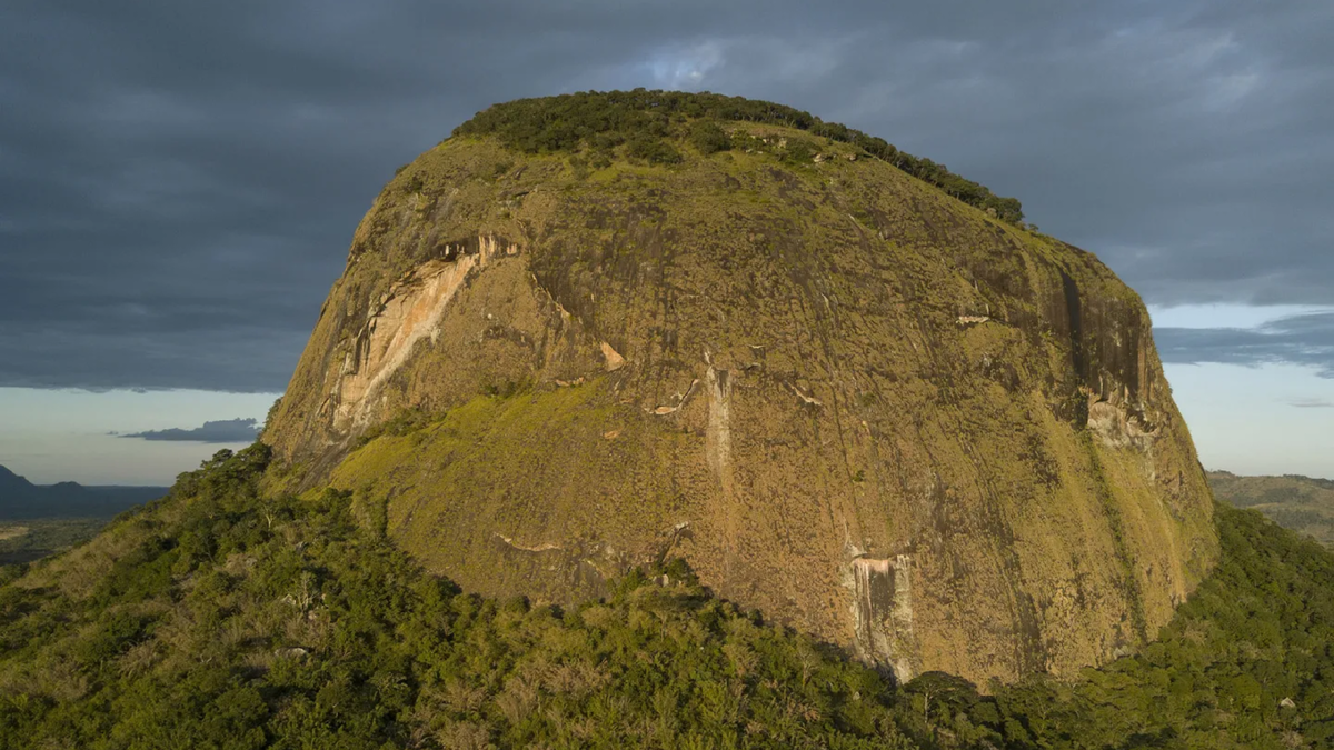 Тропический лес на макушке горы в Мозамбике. Источник: tourismupdate.co.za