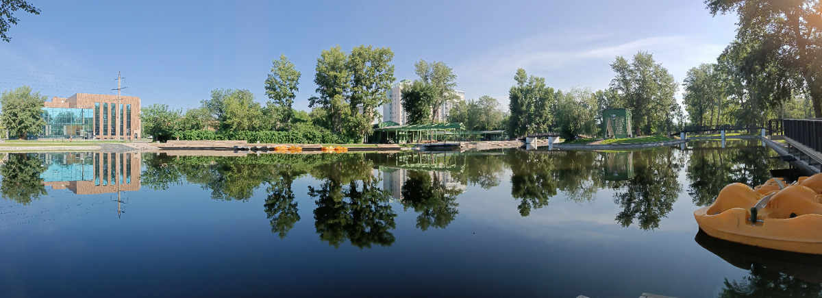 Парк. Фотография автора, июнь 2024 года. 