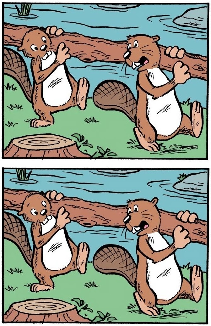 Источник: timvandevall.com