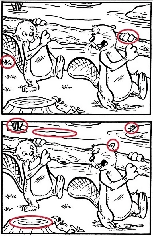 Правильный ответ