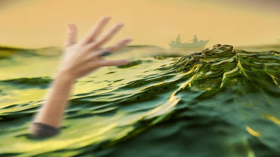    Ребенок. Водоем. Источник: pixabay.com