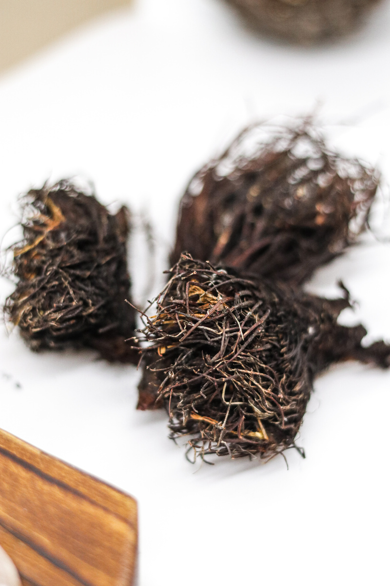 красная щетка. Алтай. АлтайHerb