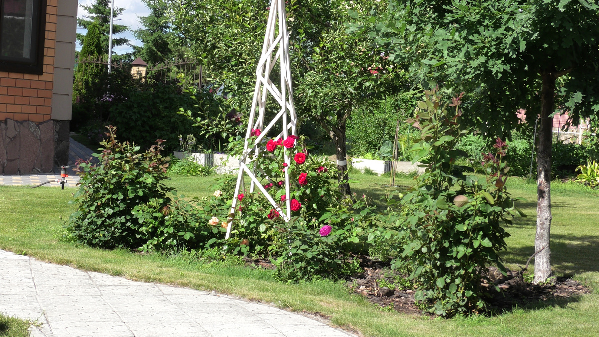 Фото автора 24.06.2024