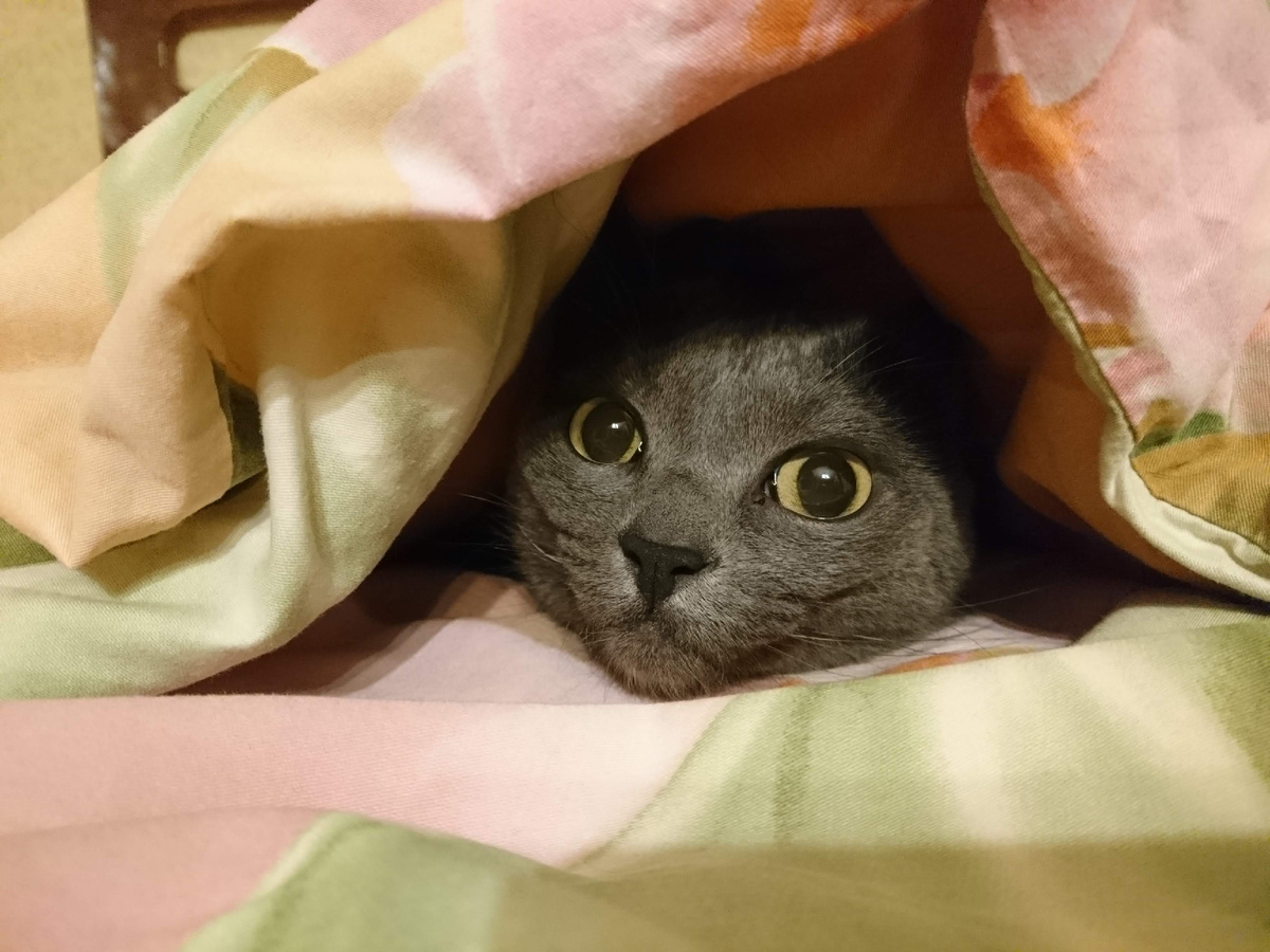 Как же страшно! Фото автора)