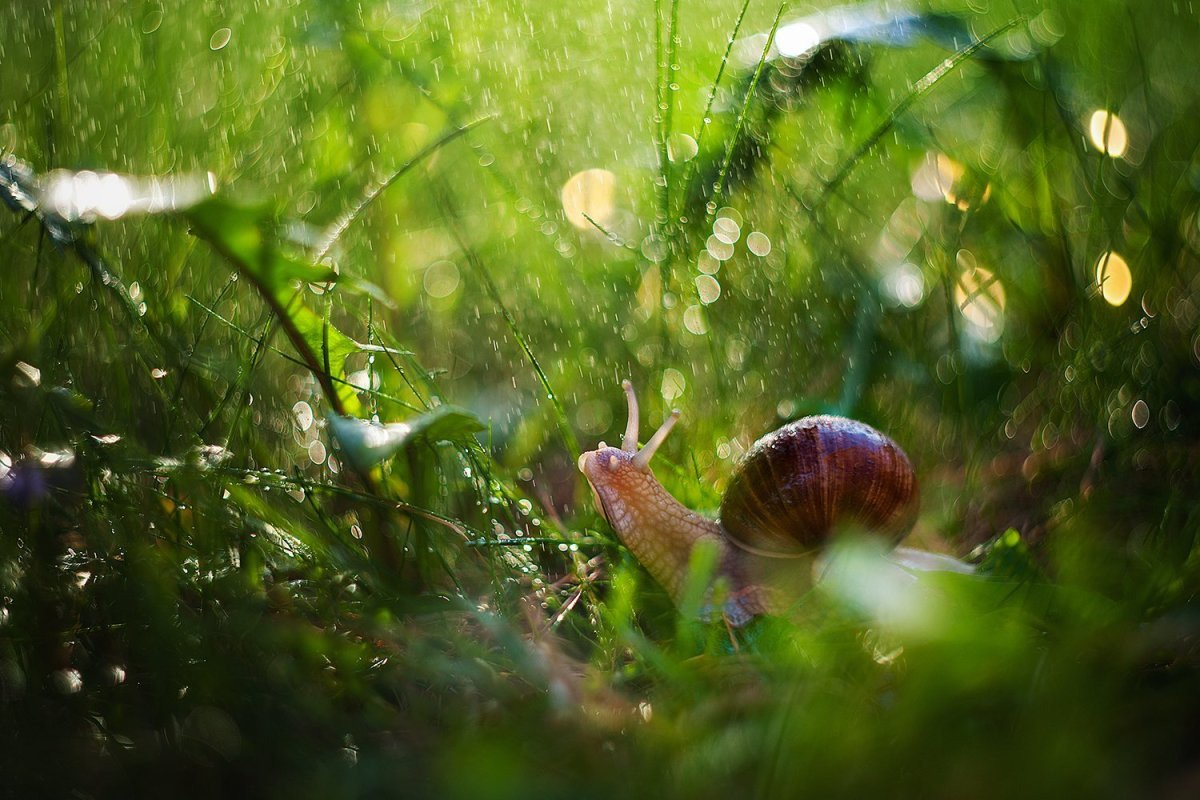 Из интернета