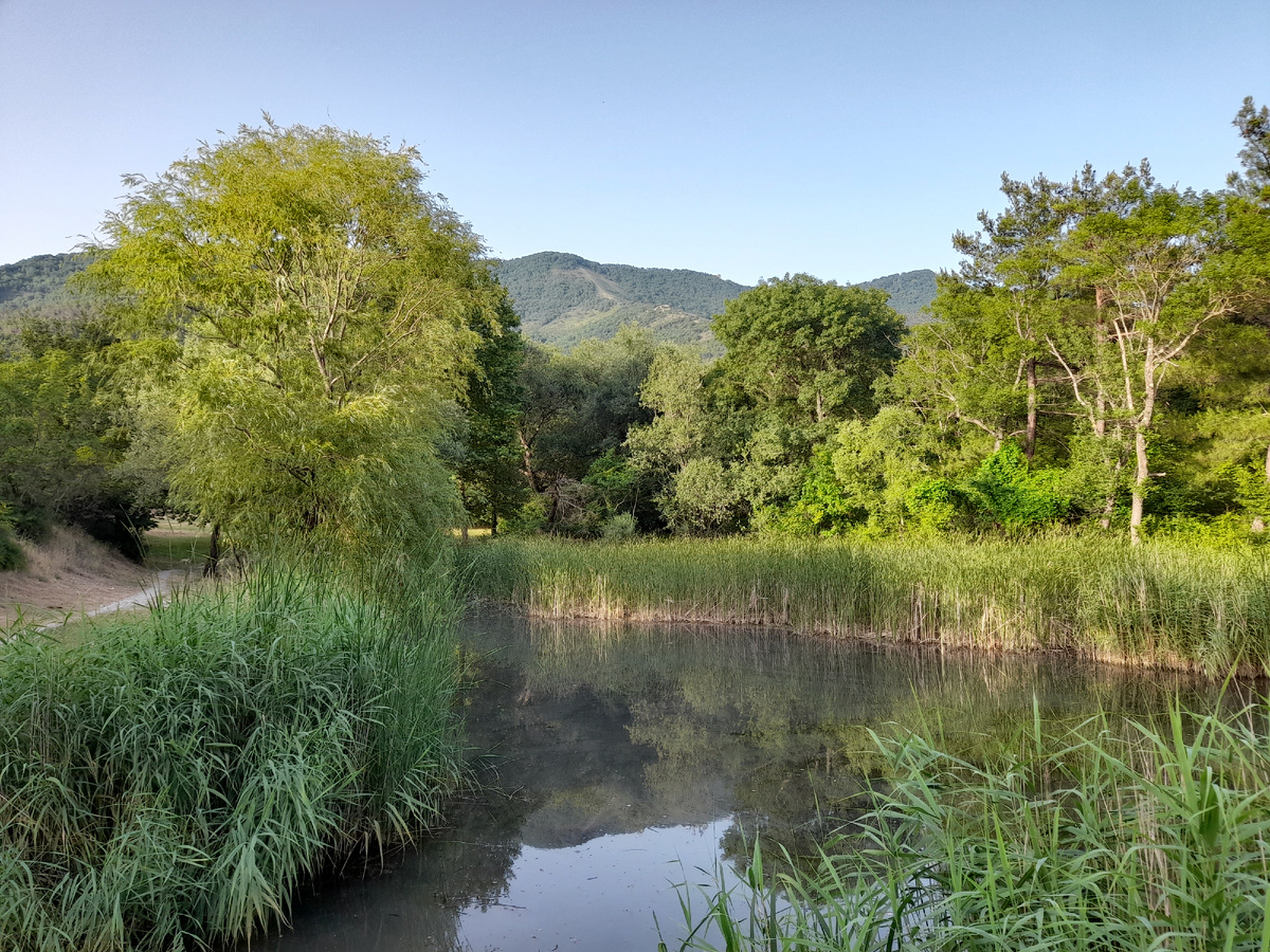 Пруд небольшой прям можно сказать в центре города