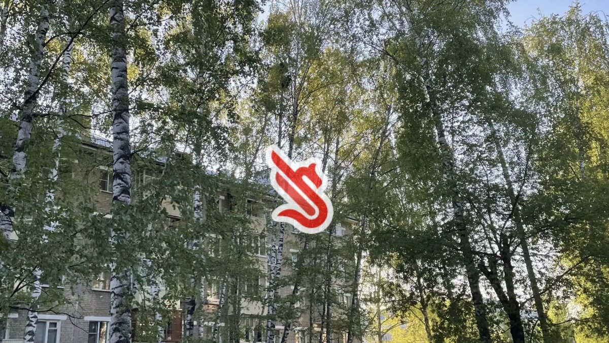     Источник: inkazan.ru