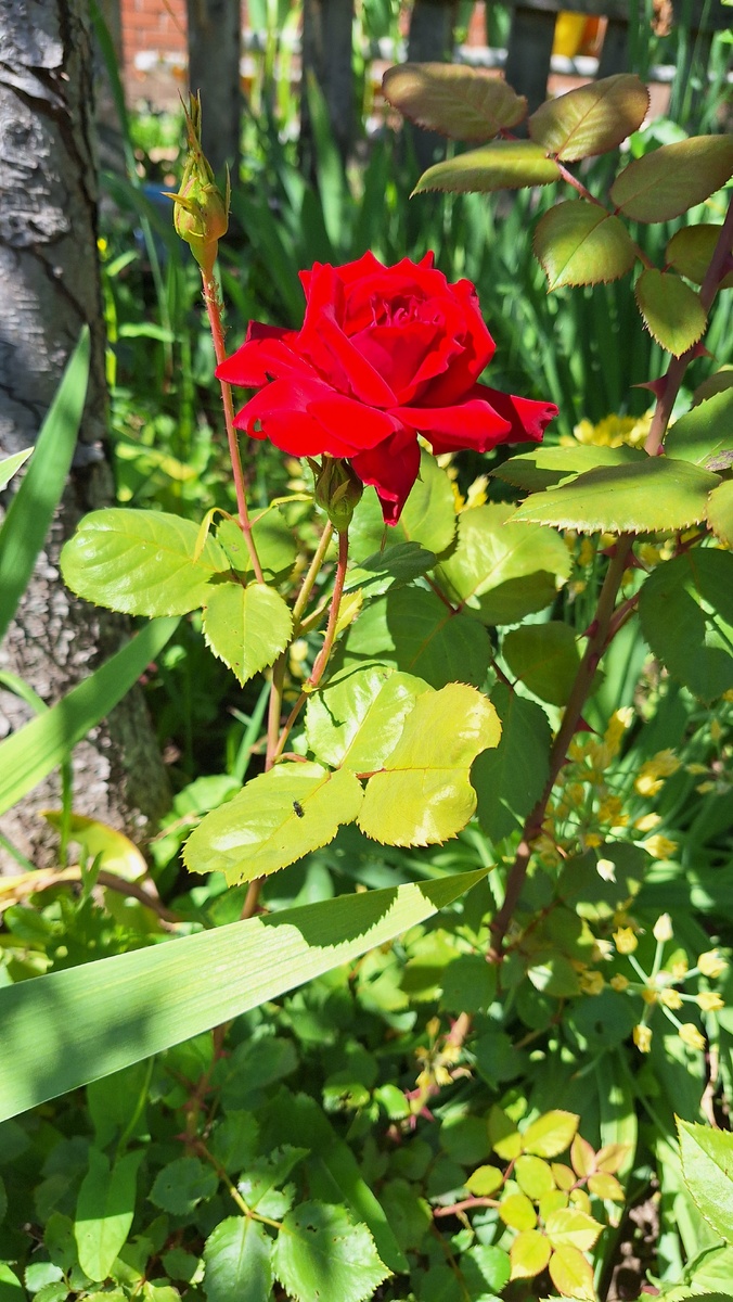 Фото автора.