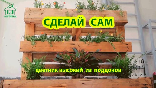 Сделай сам цветник высокий из поддонов 🪚🪛🔨 Идеи для дачи и сада своими руками 😂 Пошаговая инструкция как сделать