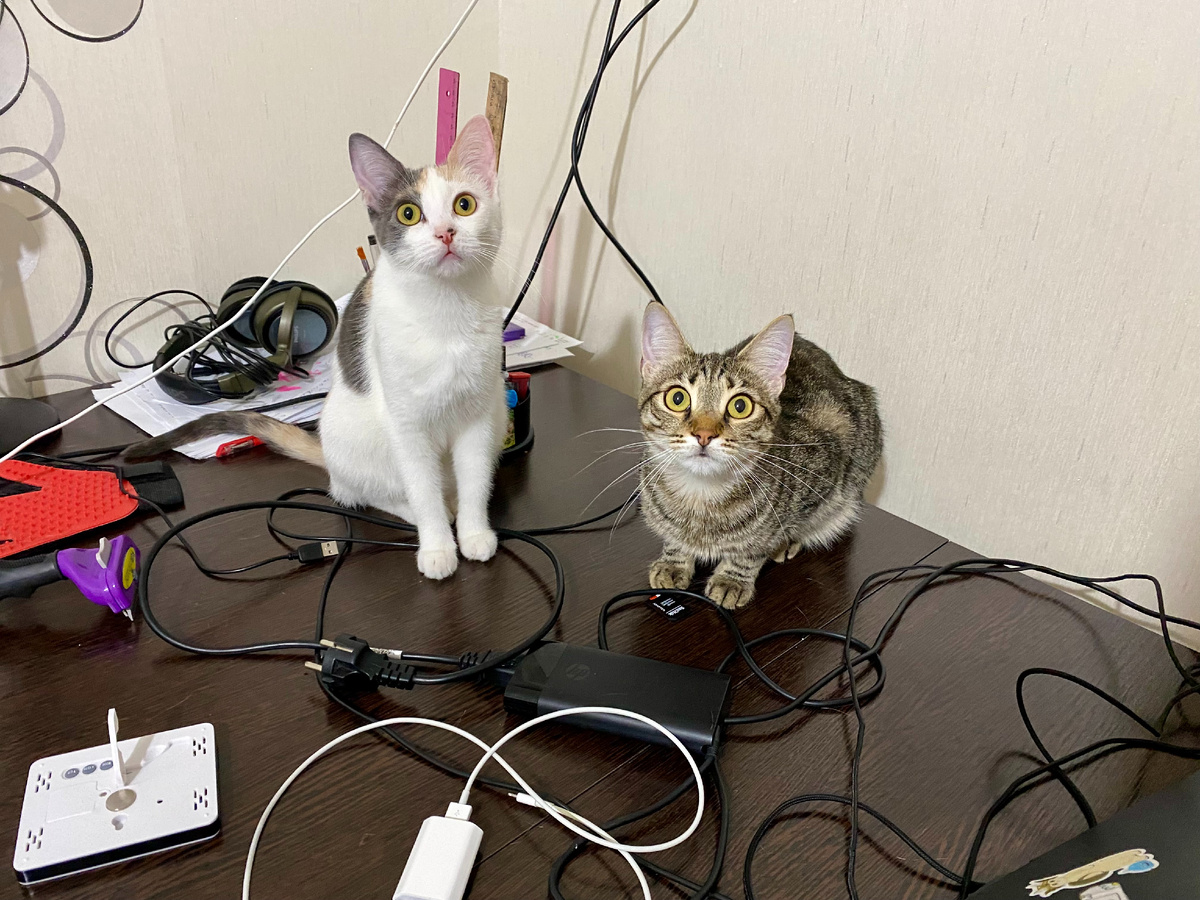 Примерно так девчонки и присматривались :-)