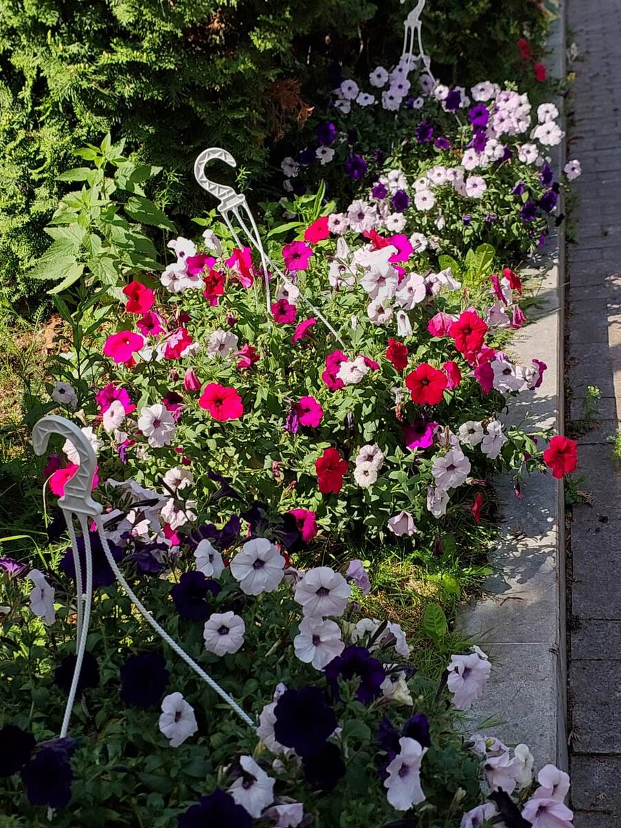 Вчера вернулась и вспоминали с мужем.. | Записки матушки Анны..?? | Дзен