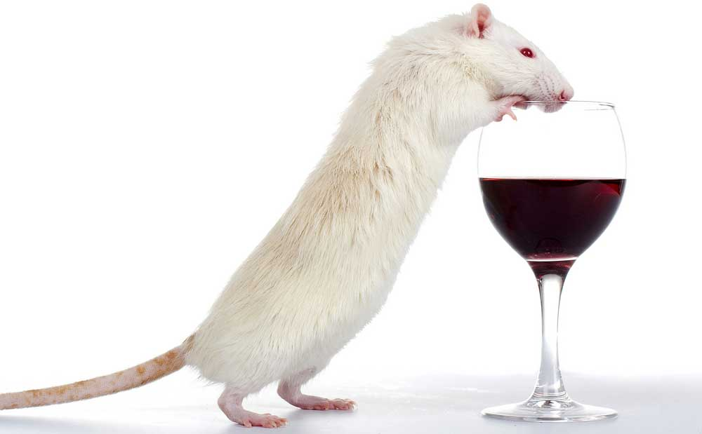 Иллюстрация: telegraphindia.com