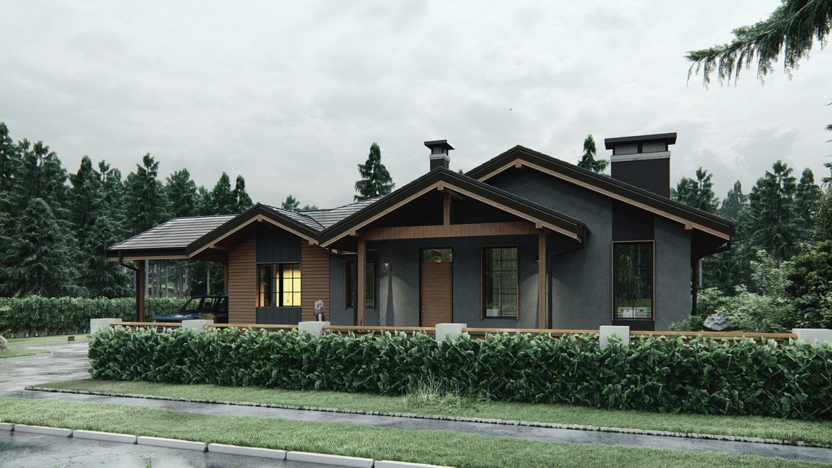 Перспектива 1