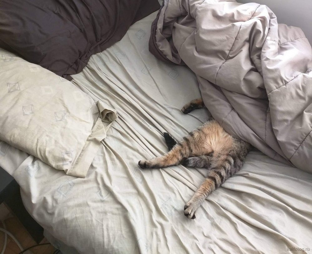 -А где молодуха-то?