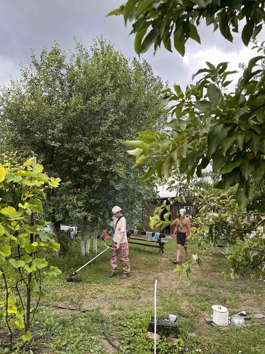 Фото июньское этого года из семейного архива