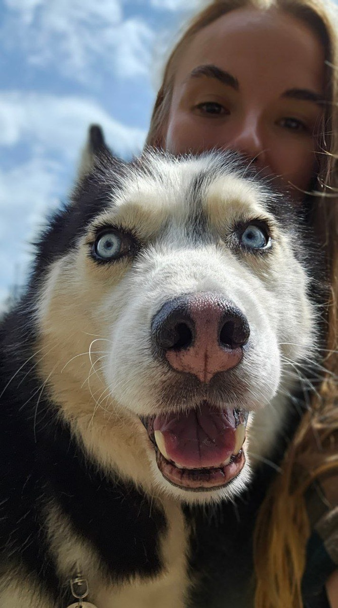 Это Бо-бо, он же - Боцман