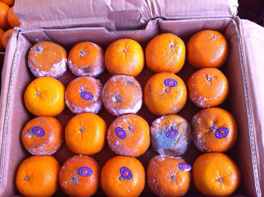 Внешний вид