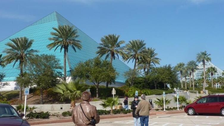 Фото из интернет-источника