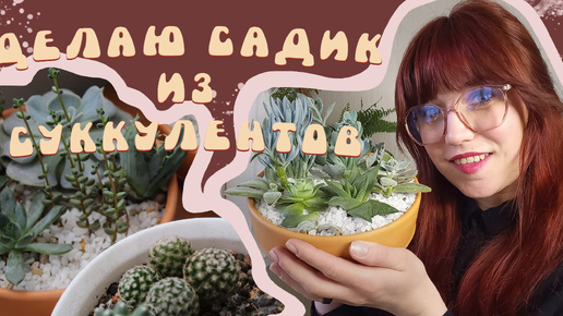 Сад суккулентов своими руками🌵