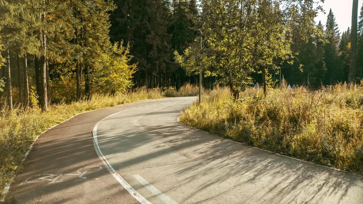     Источник: 1MI