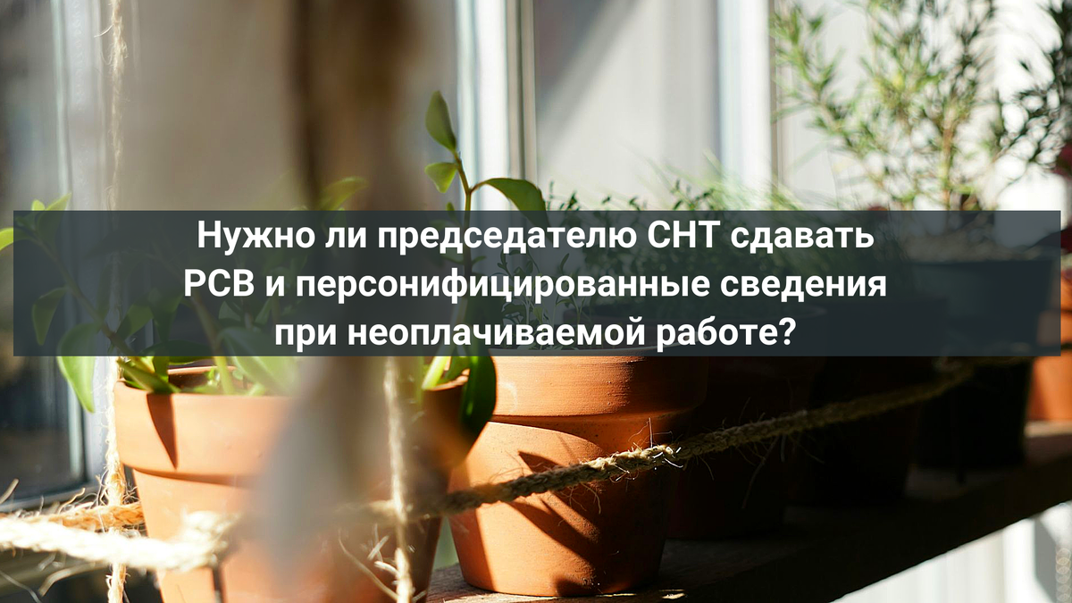 Нужно ли председателю СНТ сдавать РСВ и персонифицированные сведения при  неоплачиваемой работе? | Бухсоюз - поможем вам с учётом и бухгалтерией! |  Дзен