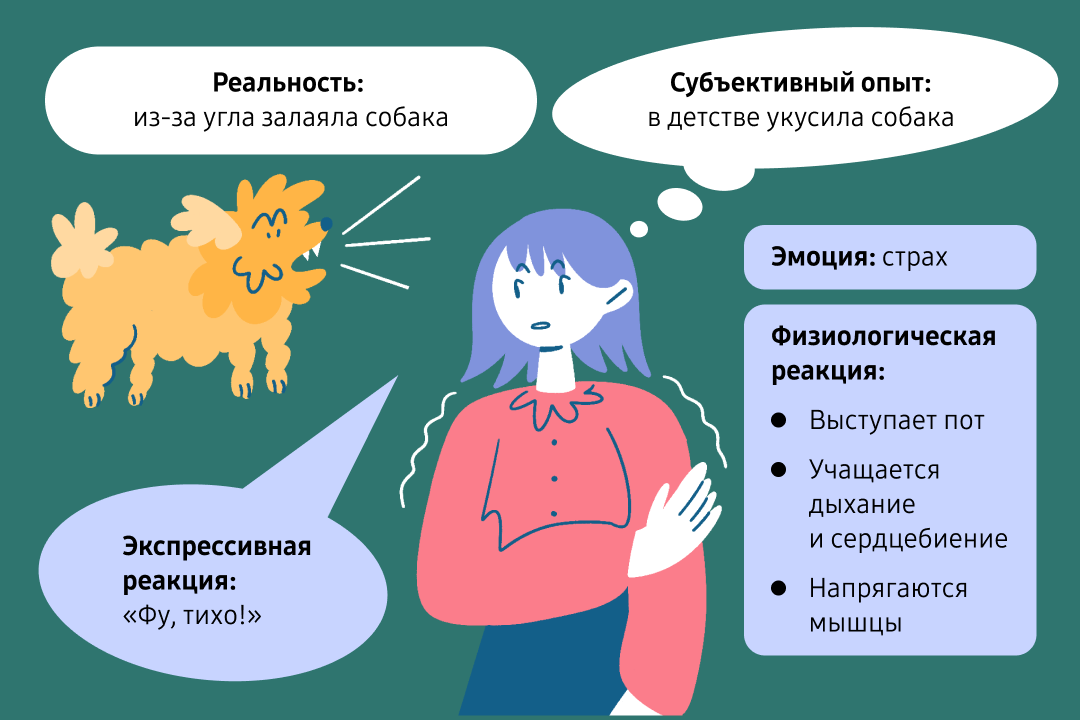 Примерно так формируется переживание, если на человека из-за угла неожиданно залаяла собака