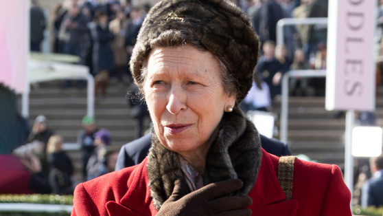    Принцесса Анна частично потеряла память после травмы головы Татьяна Сидорова