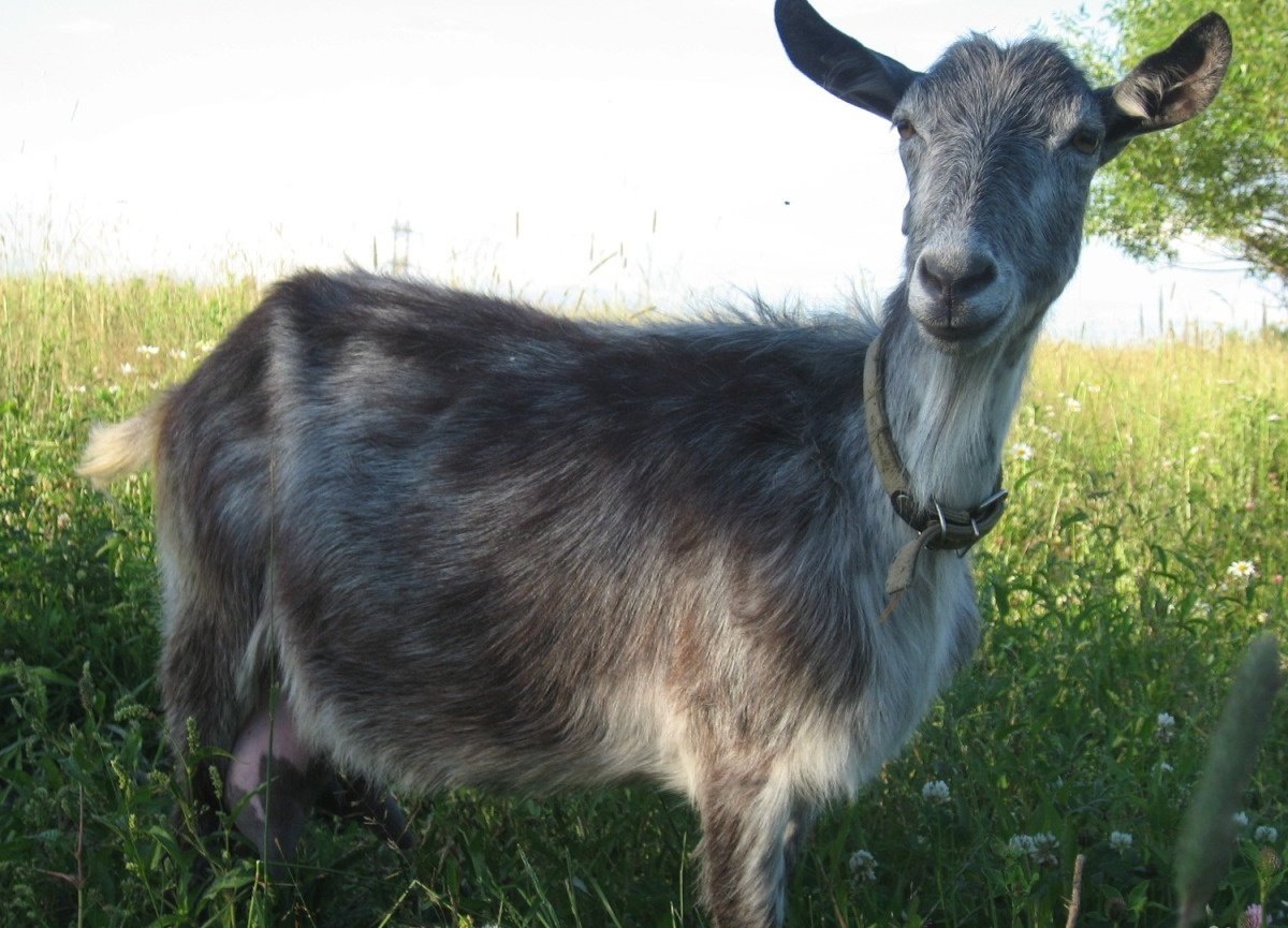 Изображение взято в интернет