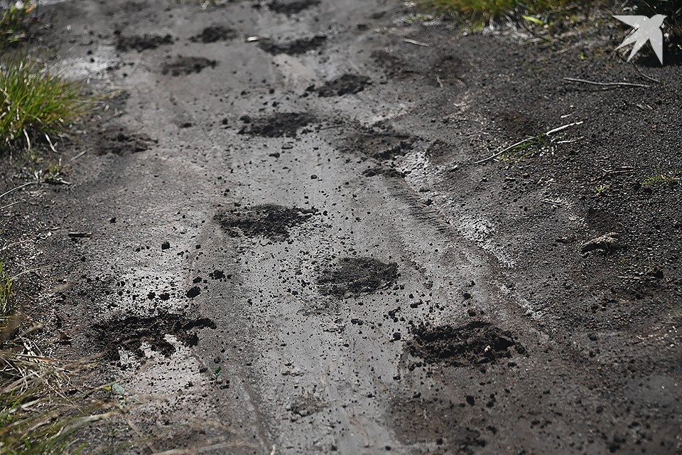    Очередного косолапого северяне встретили под Апатитами. Владимир ВЕЛЕНГУРИН