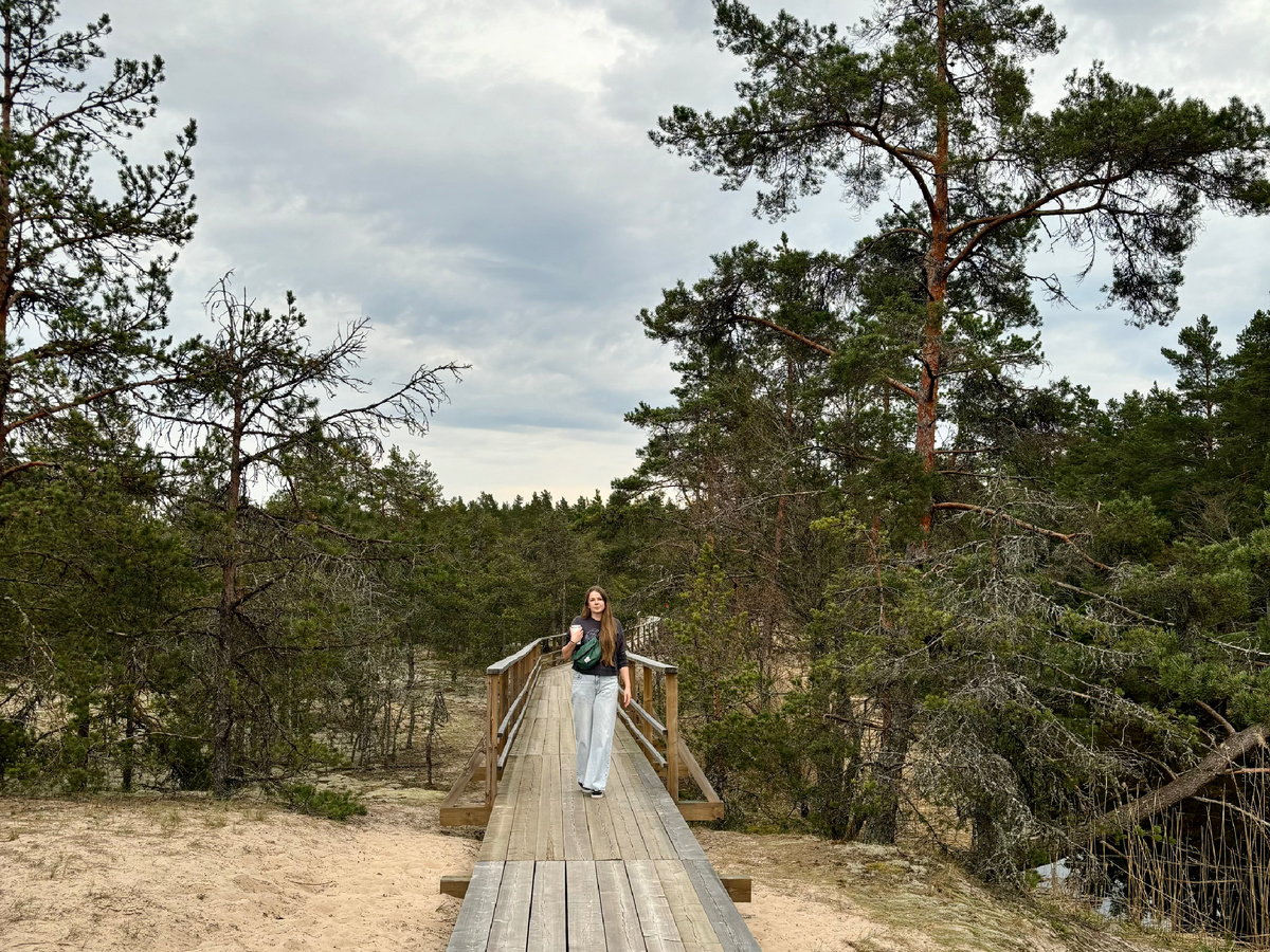 Долина реки Выбья