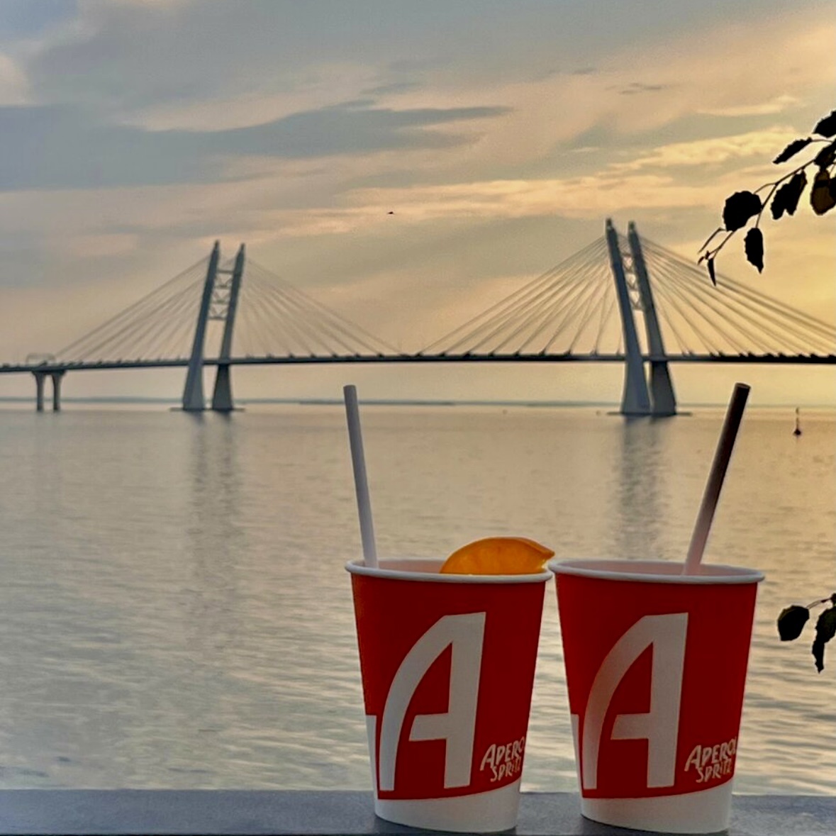 Вид с набережной Севкабель порт