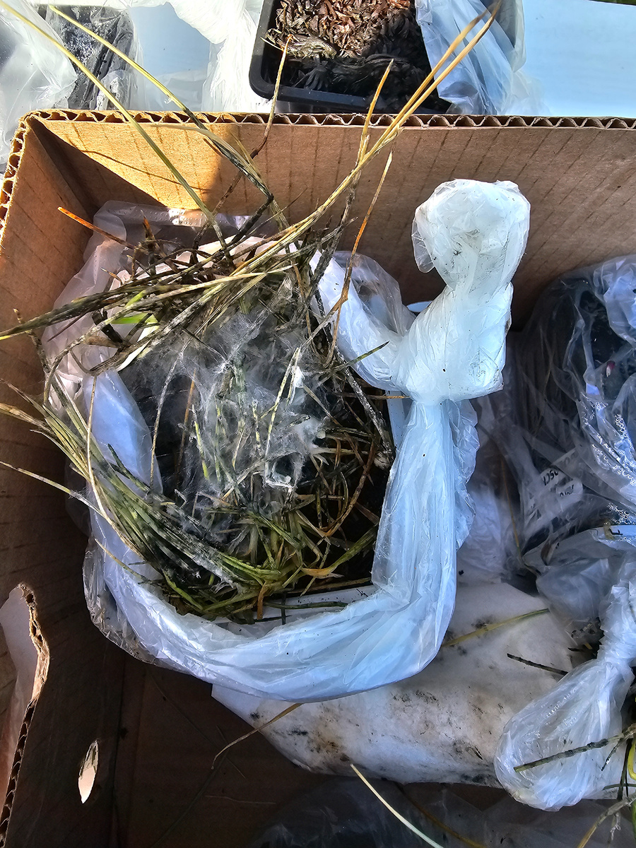 Вот такие тухляши