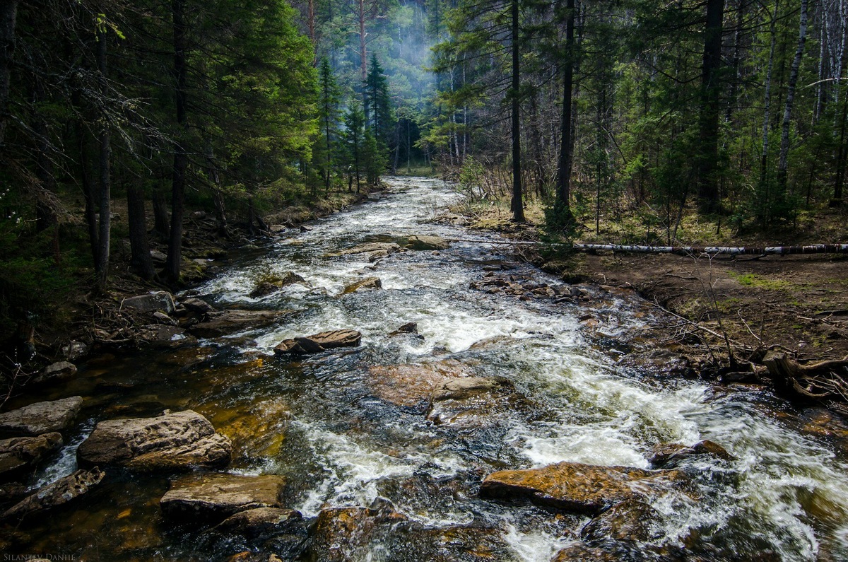 Вода в горных реках очень чистая и почти всегда ледяная. Фото: Daniil Silantev / Unsplash