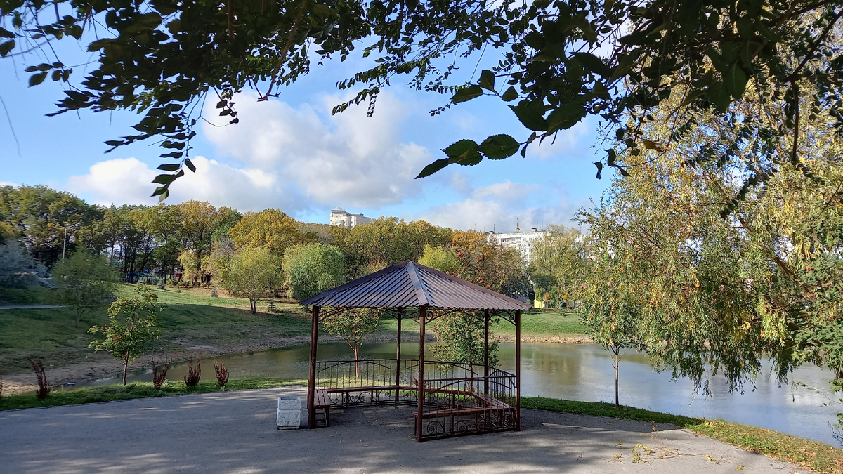 Тут всё и произошло. Парк Победы. Фото автора статьи