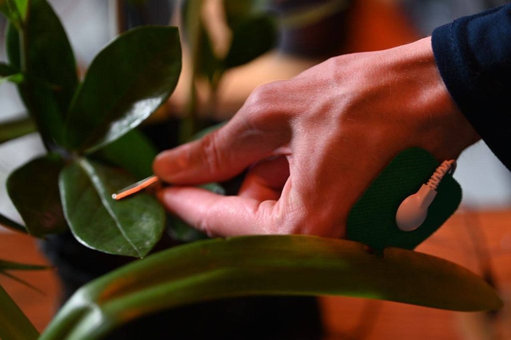    Фото: Дягилевский фестиваль