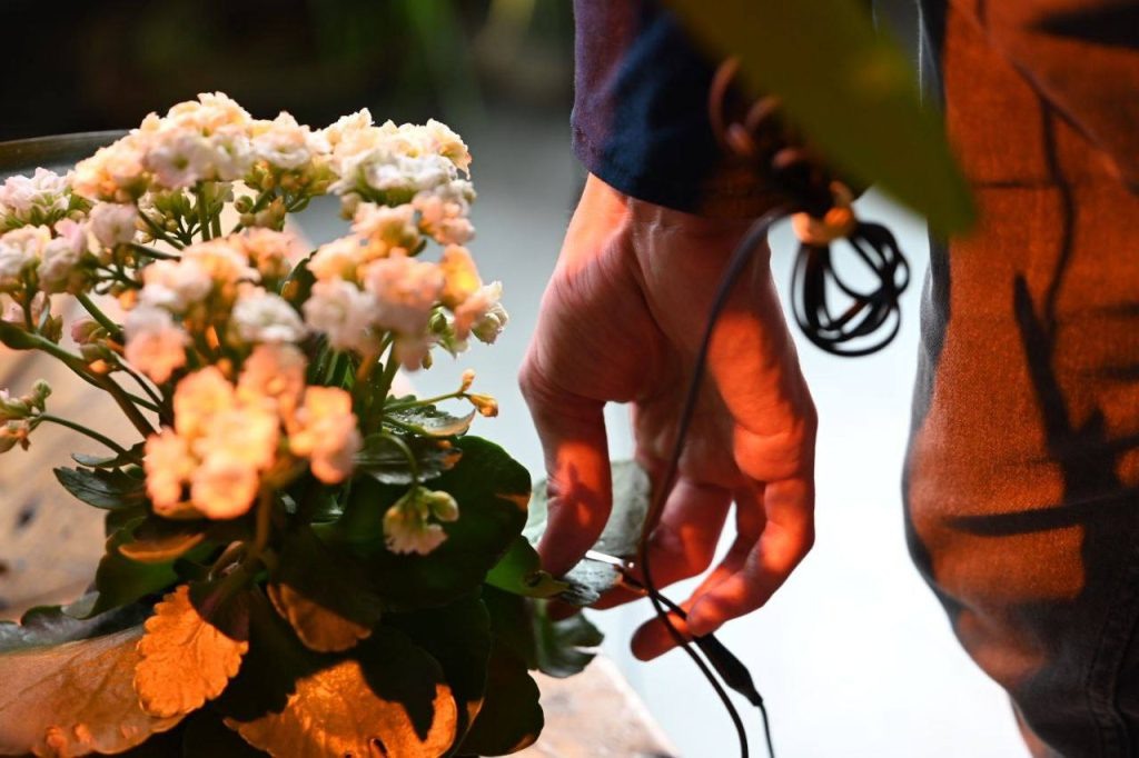    Фото: Дягилевский фестиваль