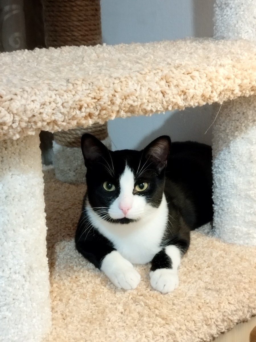 Умереть не встать! Красавчик Тимоша