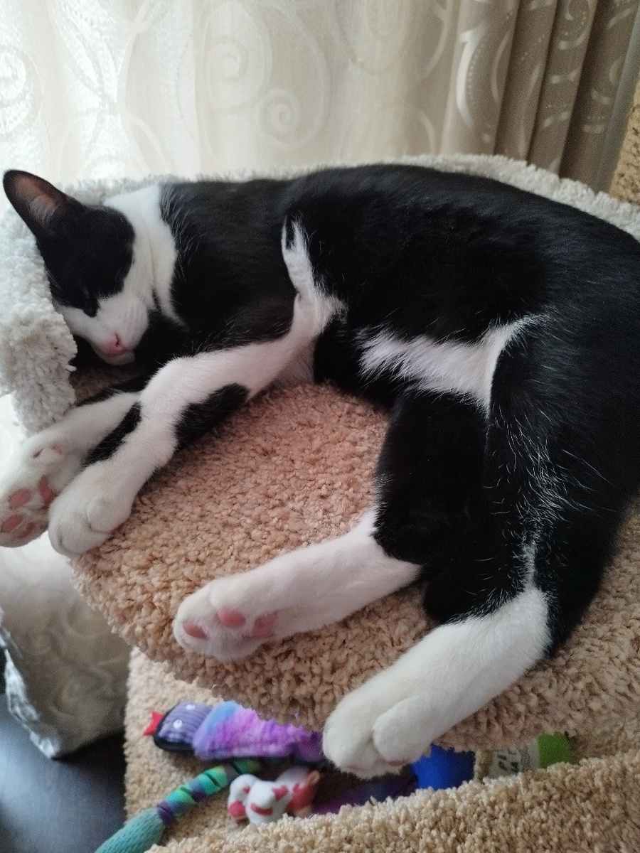 Сказали в этом доме можно всё