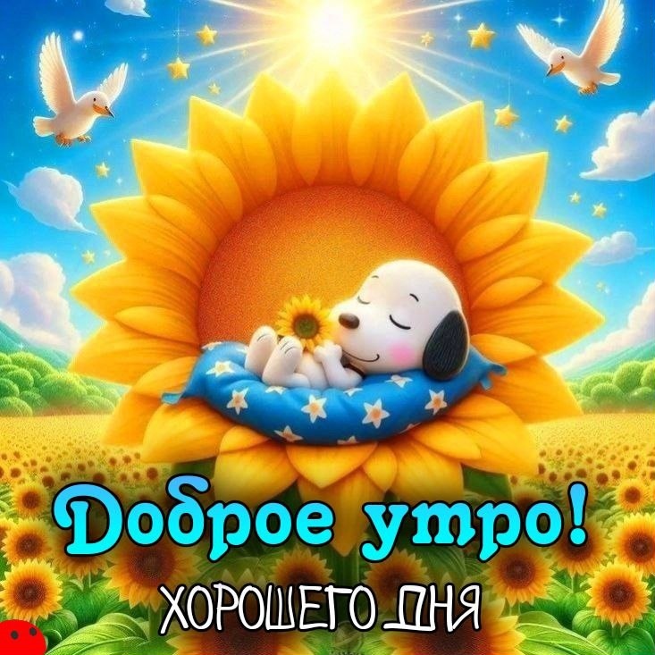 Доброе утро! Хорошего дня!