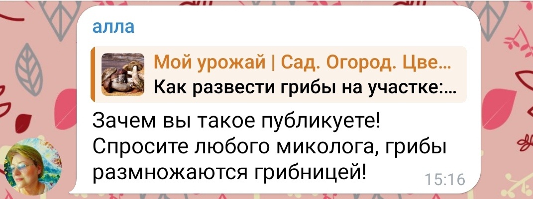 Скриншот комментария