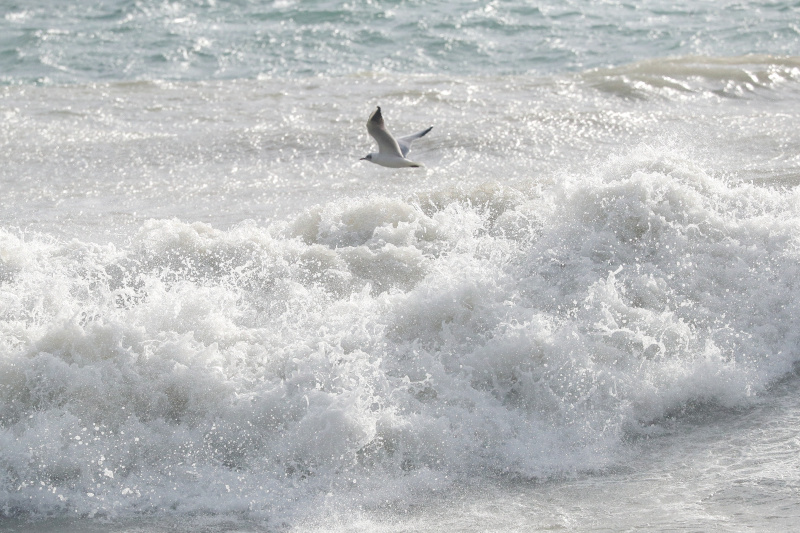    ФОТО: PETROV SERGEY/NEWS.RU/GLOBALLOOKPRESS