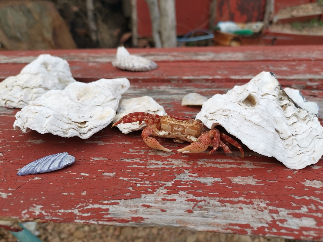 В Приморье представлено огромное разнообразие баз отдыха.  Фото: Антон Белый