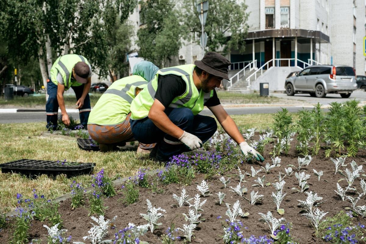    Этим летом Сургут будут украшать 44 цветника