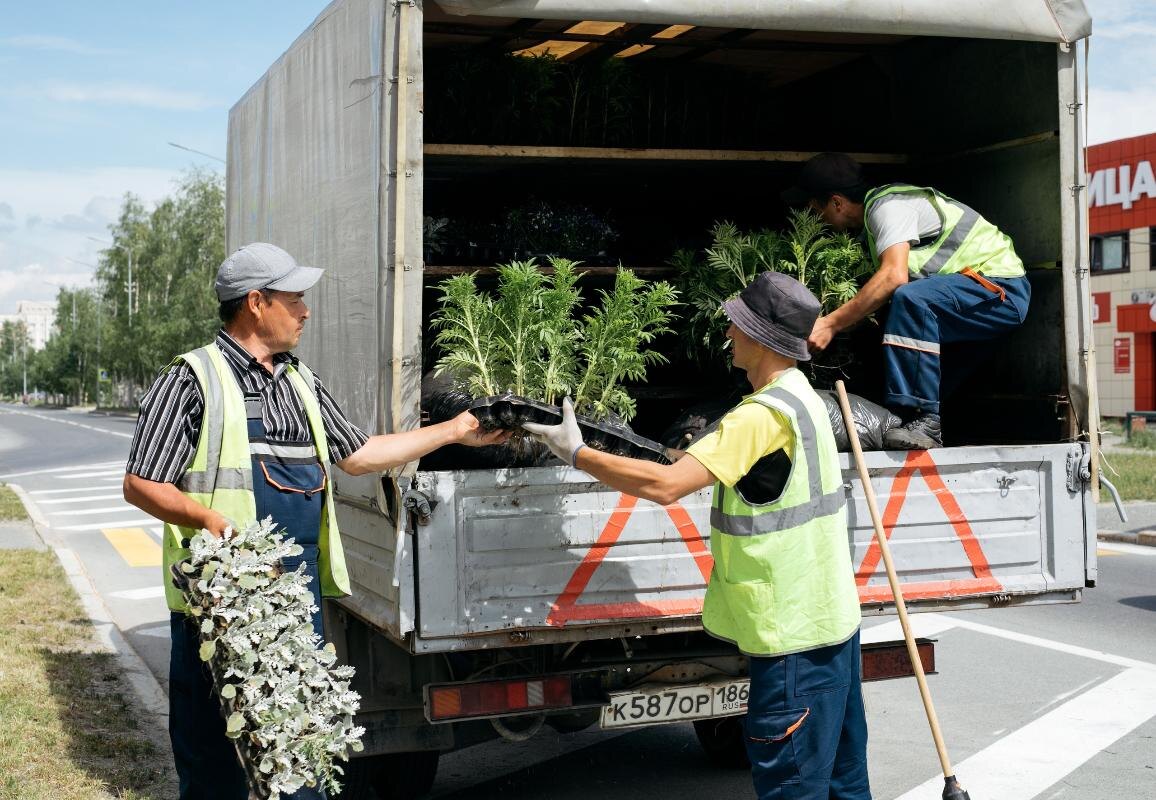    Этим летом Сургут будут украшать 44 цветника