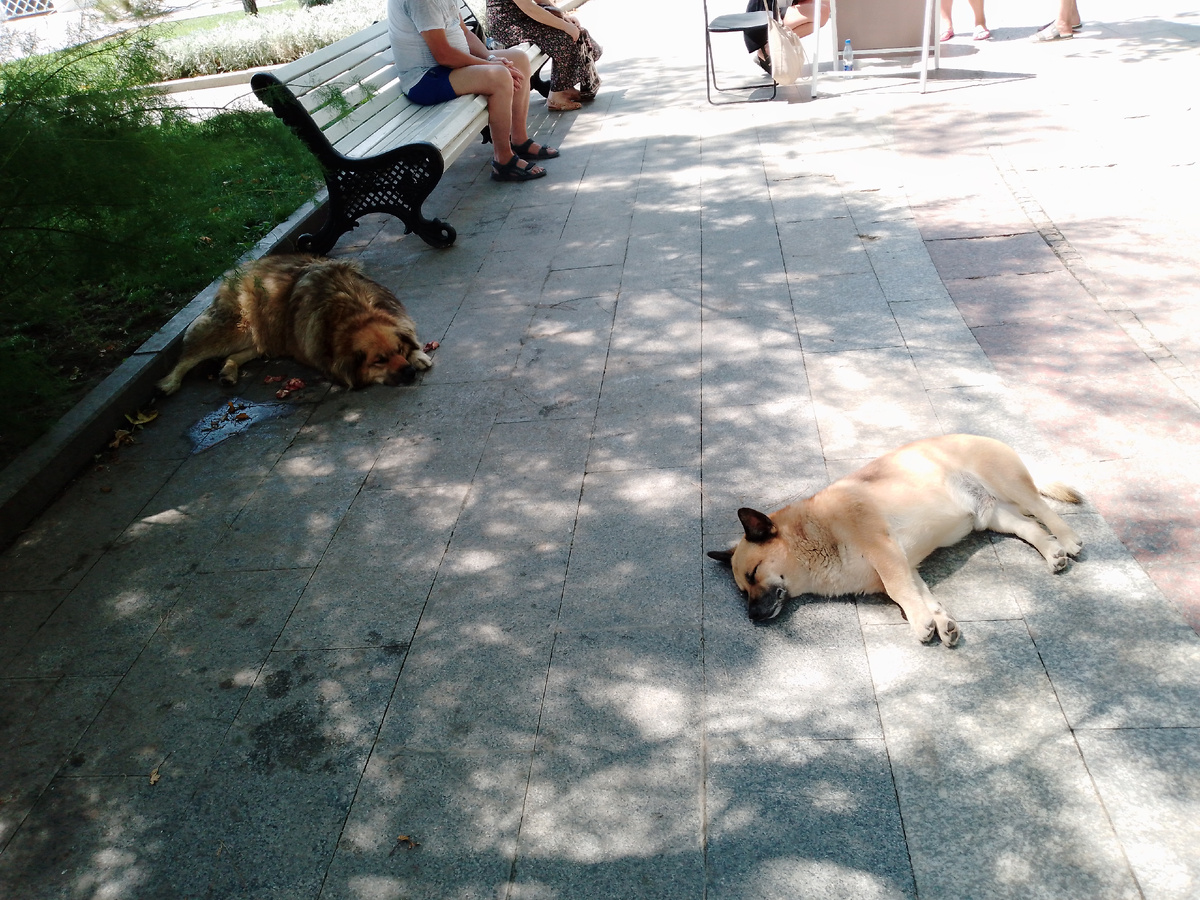 Ждем маршрутку. 