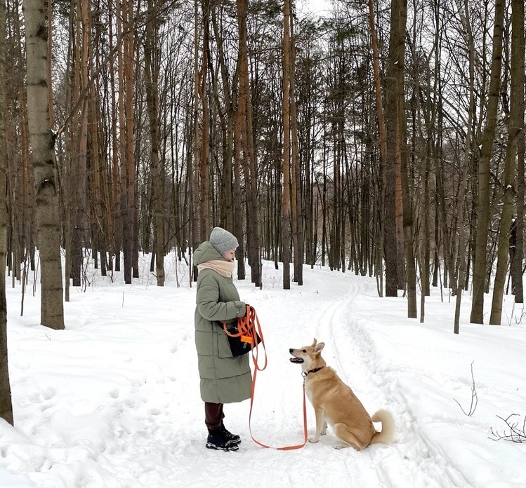 На фото нейлоновый поводок